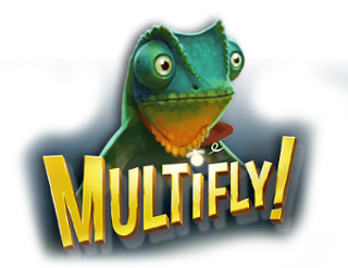 Multifly!